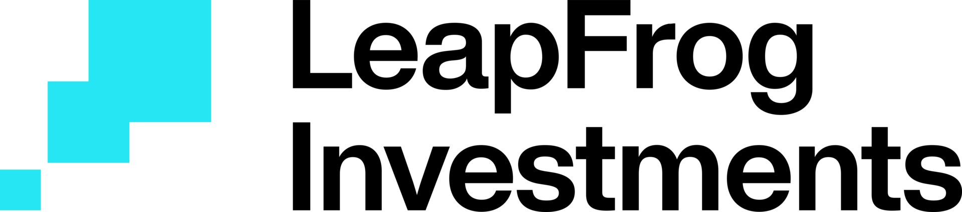 LeapFrog Investments logo